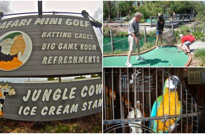 Safari Golf and Games